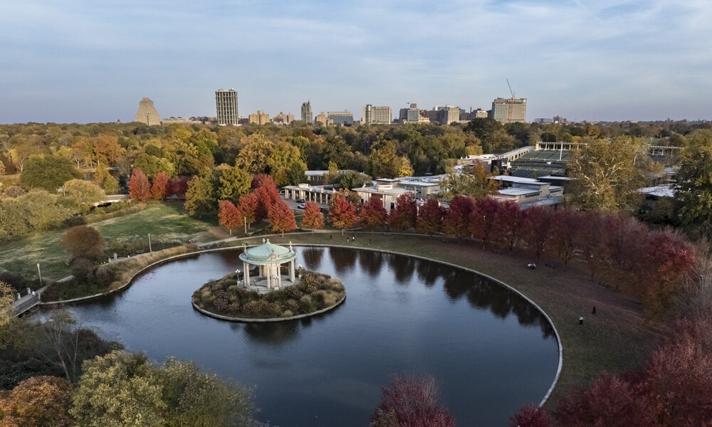 aerial view of forest park